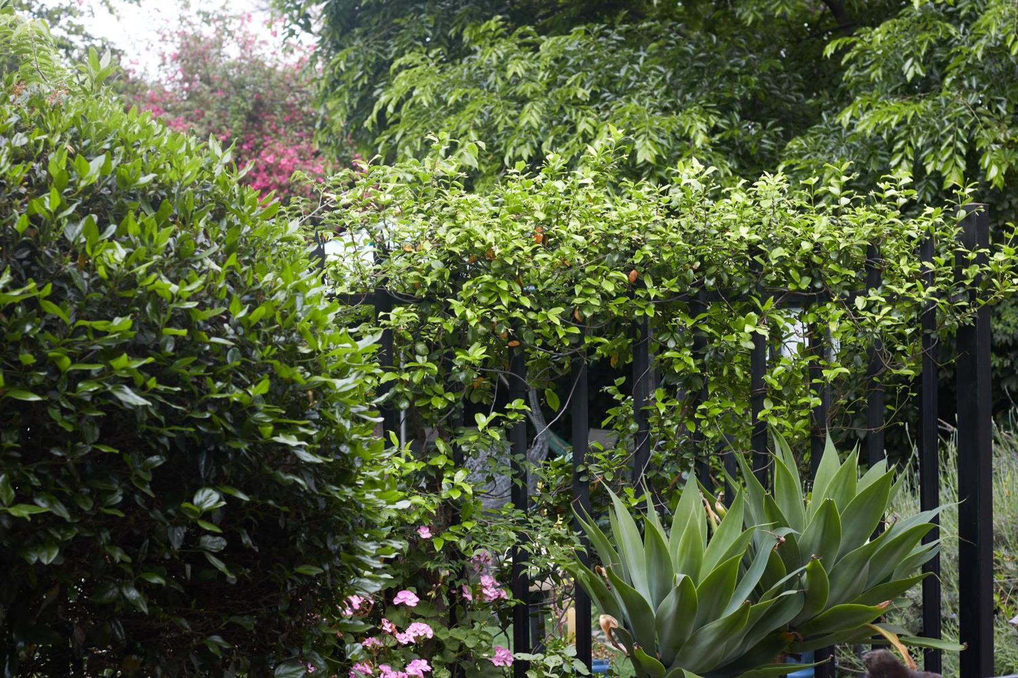 De Akker Guest House Oudtshoorn Ngoại thất bức ảnh
